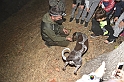 VBS_6421 - Inaugurazione Stagione 2022-23 Simulazione Ricerca Tartufo